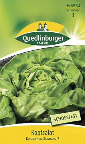 Quedlinburger Kopfsalat 'Kagraner Sommer 2', 1 Tüte Samen von Quedlinburger