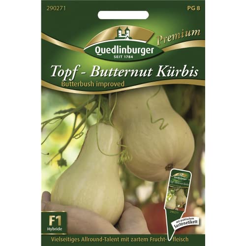 Quedlinburger Kürbis Topf- Butternut,1 Portion von Quedlinburger