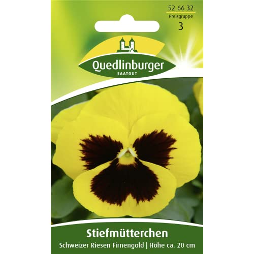 Quedlinburger Riesen-Stiefmütterchen gelb 'Schweizer Riesen', 1 Tüte Samen von Quedlinburger