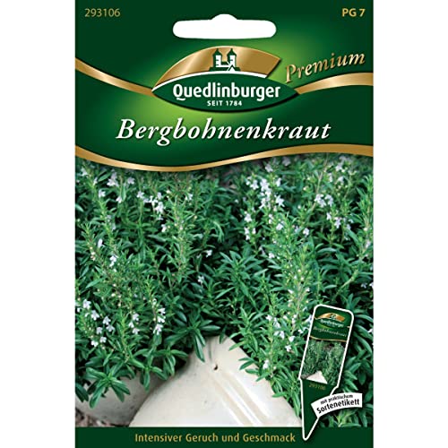 Quedlinburger Saatgut Bergbohnenkraut Samen von Quedlinburger