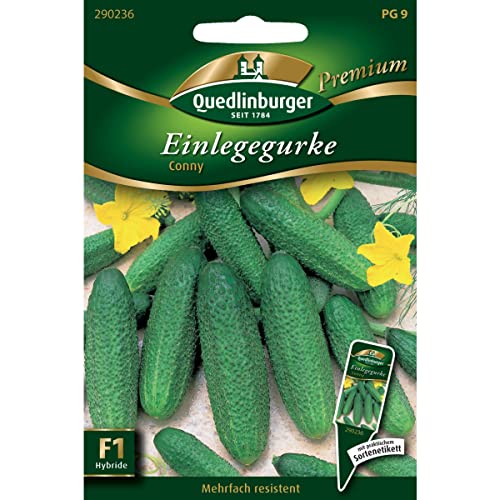Quedlinburger Saatgut - Einlegegurken Conny Samen von Quedlinburger