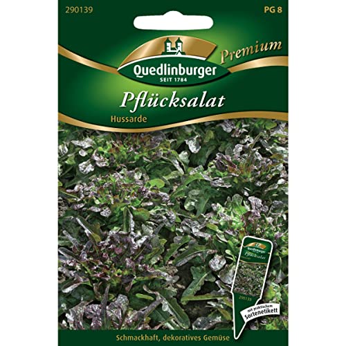 Quedlinburger Saatgut Pflücksalat, Cerbiatta/Hussarde Samen Quedlinburger Saatgut Pflücksalat, Cerbiatta/Hussarde Samen von Quedlinburger