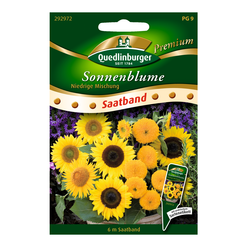 Quedlinburger Sonnenblume "Niedrige Mischung" Saatband von QUEDLINBURGER