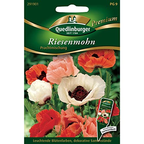Riesenmohn Türkischer Mohn Prachtmischung von Quedlinburger SAATGUT