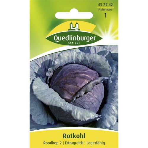 Rotkohl, Roodkop 2 von Quedlinburger