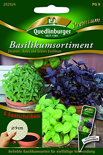 SAS Basilikum MSG 8 cm a 5mal QLB Premium Saatgut Basilikum SAS Basilikum MSG 8 cm a 5mal QLB Premium Saatgut Basilikum von Quedlinburger