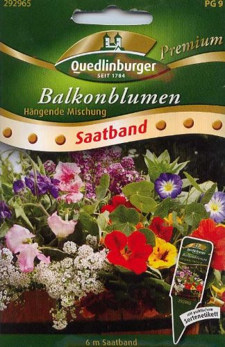 SB Balkonblumen, hängende Mischung von Quedlinburger