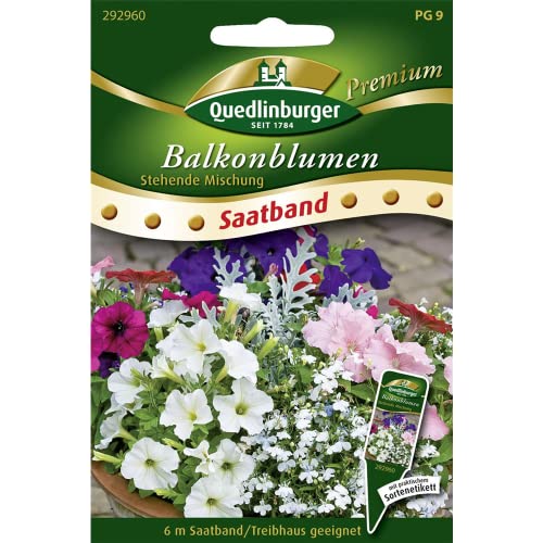 SB Balkonblumen, stehende Mischung von Quedlinburger