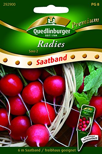SB Radies Saxa 2 - Raphanus sativus var. sativus QLB Premium Saatgut Radieschen von Quedlinburger