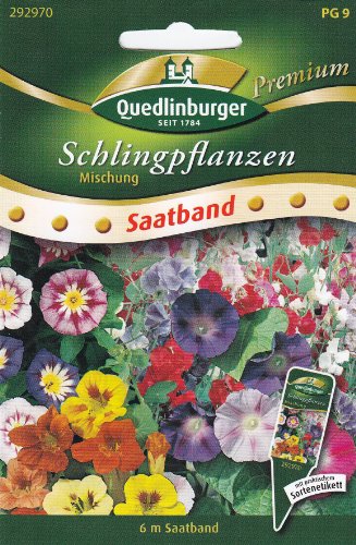 SB Schlingpflanzen, Mischung von Quedlinburger