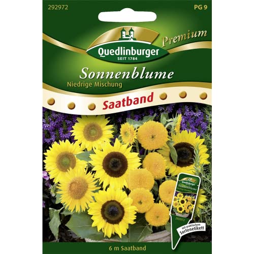 SB Sonnenblumen, niedrige Mischung von Quedlinburger