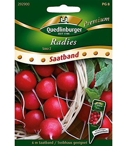 Saatband Radies"Saxa", 6 m,1 Set Saatband Radies"Saxa", 6 m,1 Set von Quedlinburger