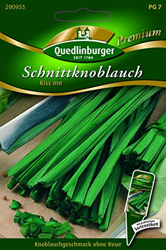 Schnittknoblauch Kiss me - Allium tuberosum QLB Premium Saatgut Zwiebel und Lauch von Quedlinburger