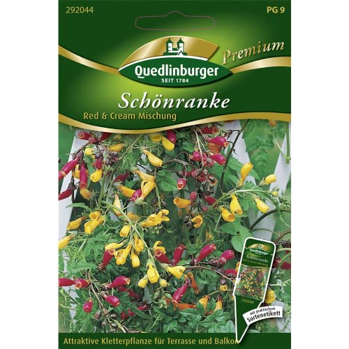 Schönranke, Red & Cream Mischung von Quedlinburger