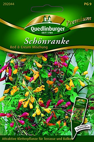 Schönranke Red & Cream Mischun QLB Premium Saatgut Blumen einjährig von Quedlinburger
