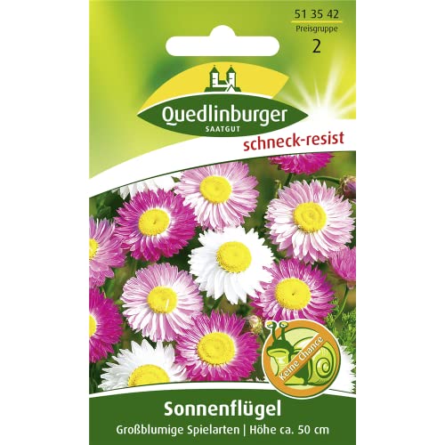 Quedlinburger Saatgut Sonnenflügel, Großblumige Spielarten Samen von Quedlinburger