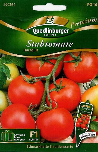 Stabtomate, Harzglut F1 von Quedlinburger