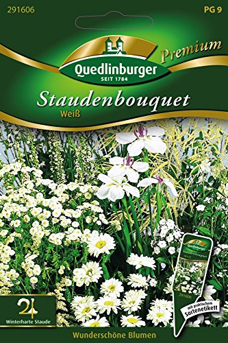 Staudenbouquet weiß von Quedlinburger Saatgut von Quedlinburger
