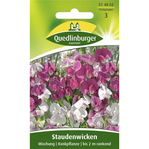 Staudenwicke, Mischung von Quedlinburger