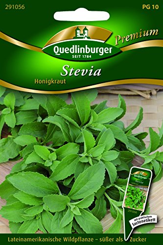 Stevia Süßkraut - Stevia rebaudiana QLB Premium Saatgut Sonstige Kräuter von Quedlinburger