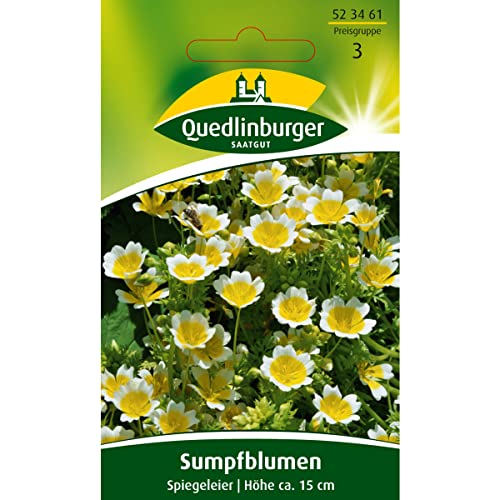 Sumpfblume, Spiegeleier von Quedlinburger