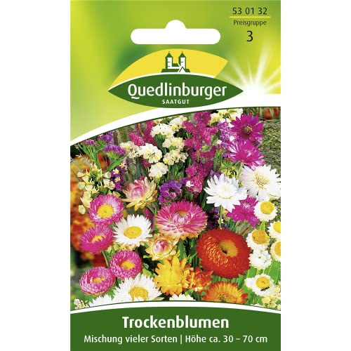 Trockenblumen, Mischung vieler Sorten von Quedlinburger