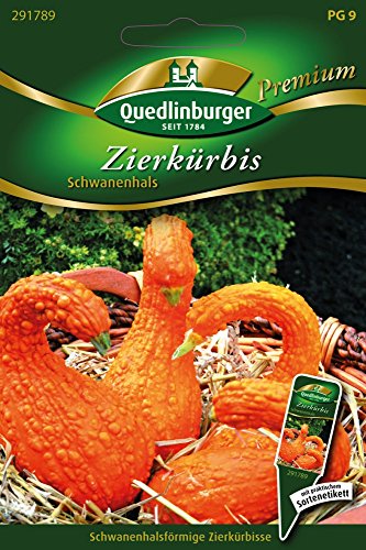 Zierkürbis Schwanenhals von Quedlinburger Saatgut von Quedlinburger