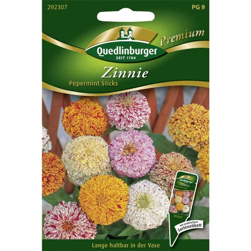 Quedlinburger Zinnie 'Peppermint', 1 Tüte Samen Quedlinburger Zinnie 'Peppermint', 1 Tüte Samen von Quedlinburger SAATGUT