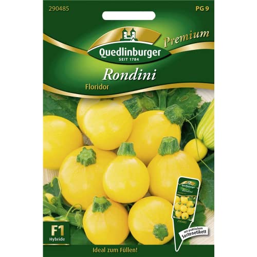 Zucchini "Rondini Floridor",1 Portion von Quedlinburger