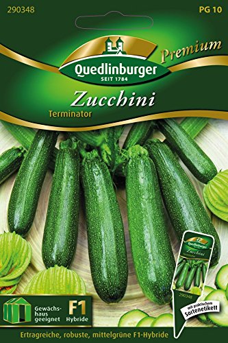 Zucchini Terminator von Quedlinburger Saatgut von Quedlinburger