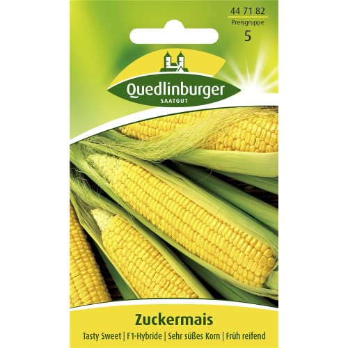 Zuckermais, Tasty Sweet F1-Hybride von Quedlinburger