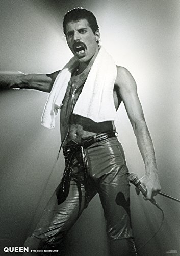 Queen Poster Freddie Mercury LIVE ON Stage von Queen