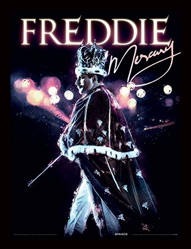 Queen FP12819P-PL Freddie Mercury gerahmtes Bild, 34 x 45 cm (Royal Portrait), Mehrfarbig, 34,5 x 45,5 x 1,5 cm von Queen