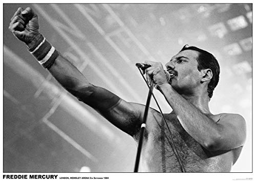 Queen Freddie Mercury - Wembley Arena, London 1984 Unisex Poster Multicolor von Queen