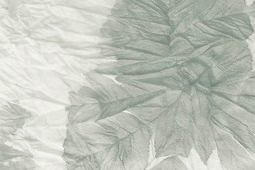 Queence | Küchen Spritzschutz Palmenblatt 60x40x0,3 cm | Küchenrückwand | Alu-DiBond | Fliesenschutz für den Herd und Spüle | Küchenfliesen | Fliesenspiegel | Rückwand von Queence