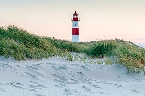 Queence | Küchen Spritzschutz Strand Dünen 60x40x0,3 cm | Küchenrückwand | Alu-DiBond | Fliesenschutz für den Herd und Spüle | Küchenfliesen | Fliesenspiegel | Rückwand von Queence