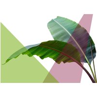 queence Acrylglasbild "Blätter" von Queence