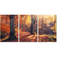 queence Acrylglasbild "Herbstwald 3-teilig", Wald, (1 St.) von Queence