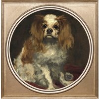queence Acrylglasbild "Hund" von Queence
