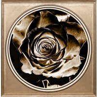 queence Acrylglasbild "Rose" von Queence
