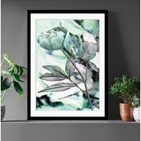 queence Bild "Elise", Blumen, gerahmt, Rose queence Bild "Elise", Blumen, gerahmt, Rose von Queence