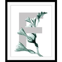 queence Bild "F-Flower", Buchstaben, gerahmt, Blume, Blätter von Queence
