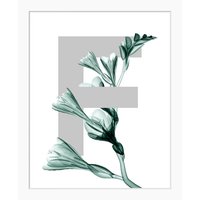 queence Bild "F-Flower", Buchstaben, gerahmt, Blume, Blätter von Queence