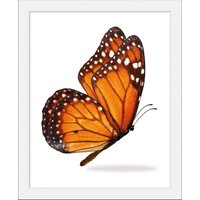 queence Bild "Jalina", Schmetterlinge, (1 St.) von Queence