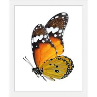queence Bild "Mario", Schmetterlinge, (1 St.) von Queence