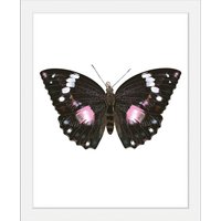queence Bild "Marissa", Schmetterlinge, (1 St.) von Queence