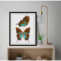 queence Bild "Nala", Schmetterlinge, (1 St.) von Queence