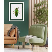 queence Bild mit Rahmen "Käfer, glitzer, dunkelgrün", Insekten, (1 St.), Poster mit buntem Acrylglas Passepartout von Queence