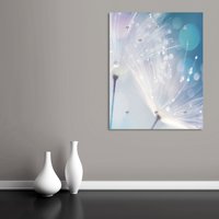 queence Garderobenleiste "Dandelion", Wand Garderobe, Pflanze, Pusteblume, platzsparend von Queence