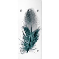 queence Garderobenleiste "Feder" mit 6 Haken, 50 x 120 cm von Queence